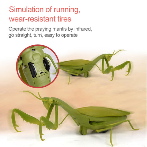 6661 Infrared Sensor Remote Control Simulated Praying Mantis Creative Children Electric Tricky Toy Model, Praying Mantis