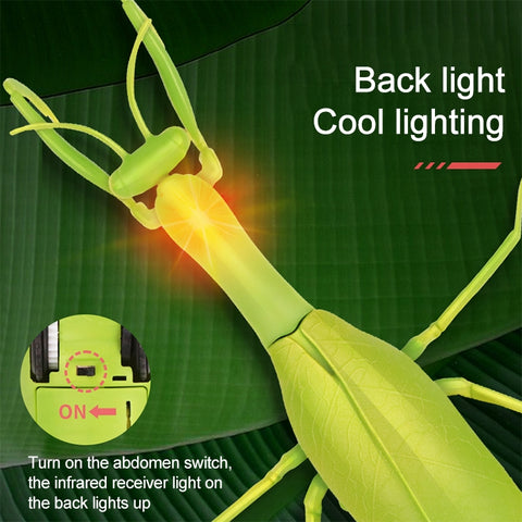 6661 Infrared Sensor Remote Control Simulated Praying Mantis Creative Children Electric Tricky Toy Model, Praying Mantis