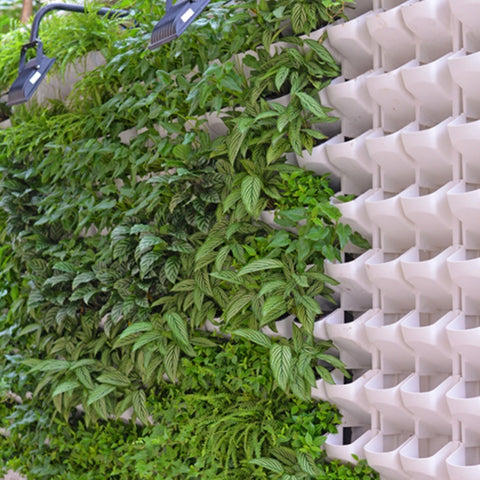 Plant Wall Vertical Indoor and Outdoor Balcony Wall-mounted Flower Pots Creative Combination of Resin Plastic Flower Pots with Removable Pot