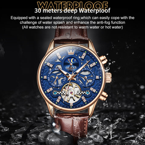 OLEVS 6658 Men Luminous Waterproof Leather Strap Mechanical Watch