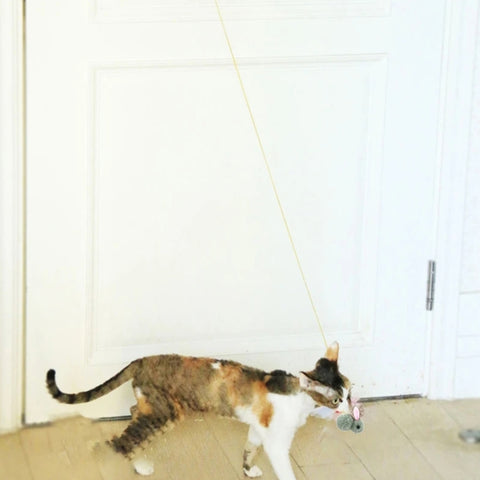 Hanging Door Retractable Cat Teaser Stick Pet Toy