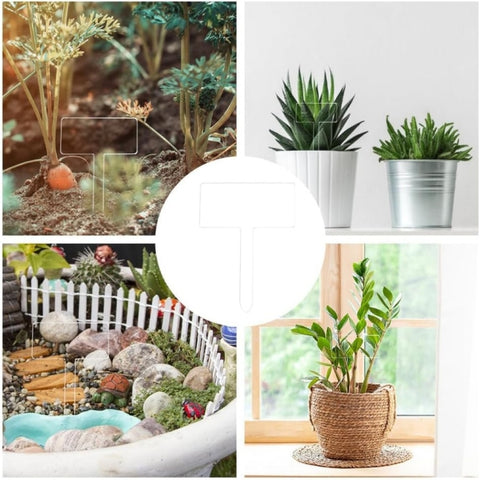 24pcs / Box Acrylic Plant Label Nameplate Potted Plant Sign Holder, Plant Label Nameplate