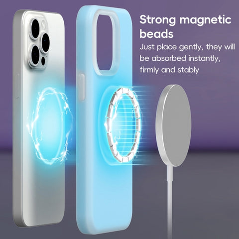 Jelly Liquid Silicone MagSafe Magnetic Phone Case, For iPhone 11, For iPhone 11 Pro