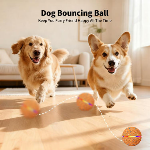 O19 Smart Automatic Pet Toy Ball Dog Training with LED, Diameter 70mm