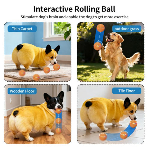 O19 Smart Automatic Pet Toy Ball Dog Training with LED, Diameter 70mm