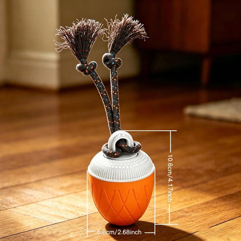 O20 Smart Automatic Pet Toy Ball Dog Training with Light & Sound & Rope