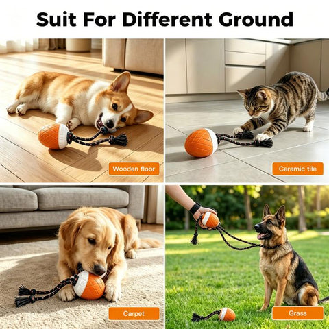 O20 Smart Automatic Pet Toy Ball Dog Training with Light & Sound & Rope