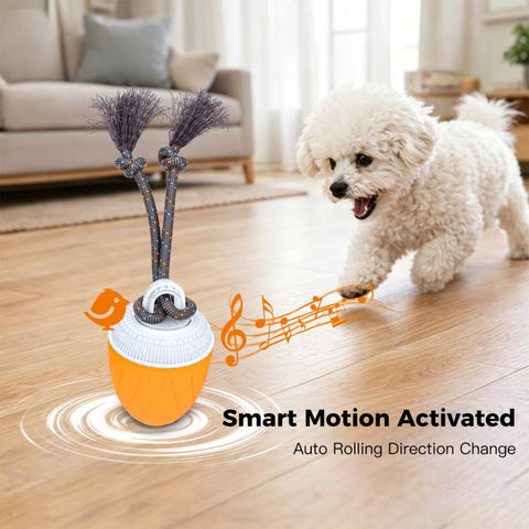 O20 Smart Automatic Pet Toy Ball Dog Training with Light & Sound & Rope