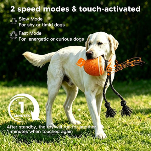 O20 Smart Automatic Pet Toy Ball Dog Training with Light & Sound & Rope
