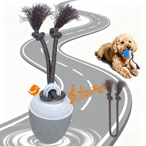 O20 Smart Automatic Pet Toy Ball Dog Training with Light & Sound & Rope