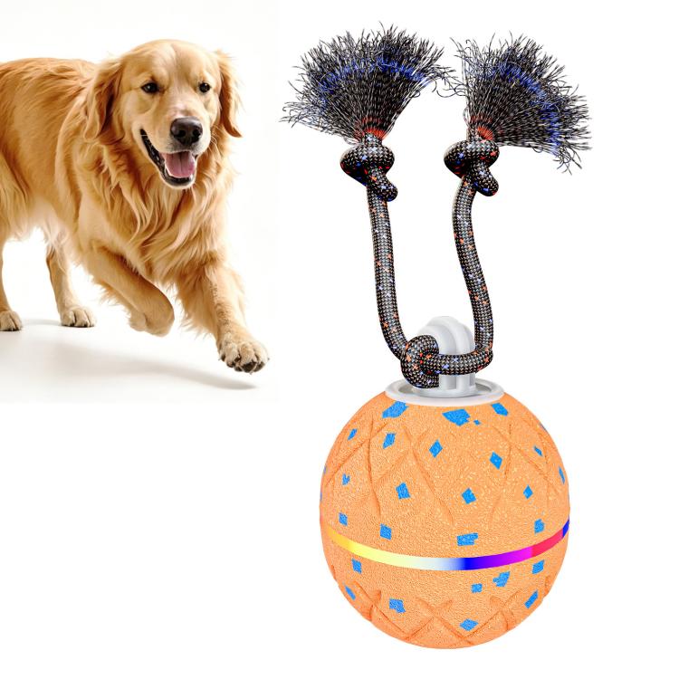 O22 Smart Automatic Pet Toy Ball Dog Training with Light & Sound & Rope, O22