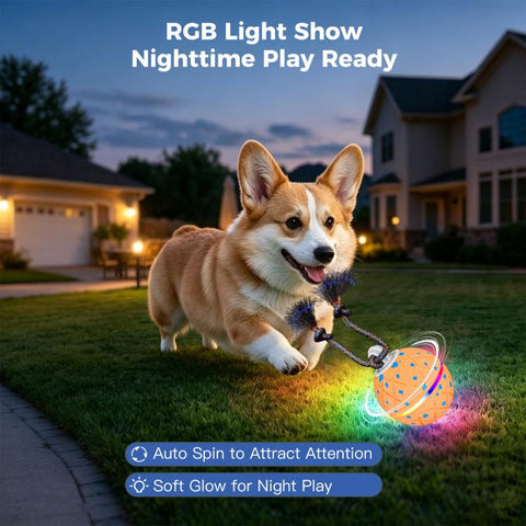 O22 Smart Automatic Pet Toy Ball Dog Training with Light & Sound & Rope, O22