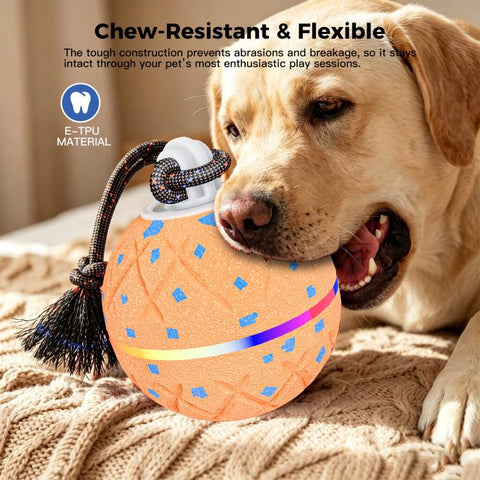 O22 Smart Automatic Pet Toy Ball Dog Training with Light & Sound & Rope, O22