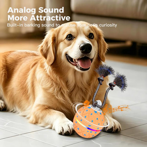 O22 Smart Automatic Pet Toy Ball Dog Training with Light & Sound & Rope, O22