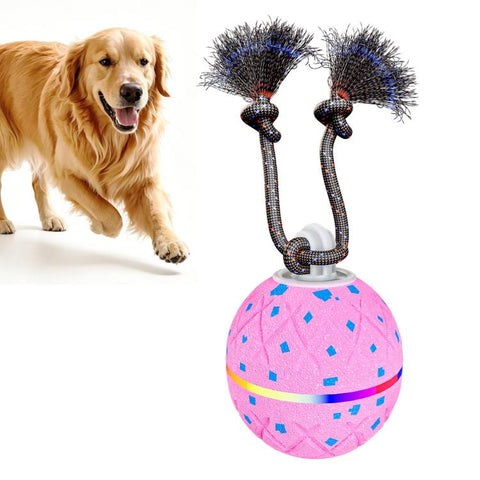 O22 Smart Automatic Pet Toy Ball Dog Training with Light & Sound & Rope, O22