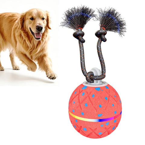 O22 Smart Automatic Pet Toy Ball Dog Training with Light & Sound & Rope, O22
