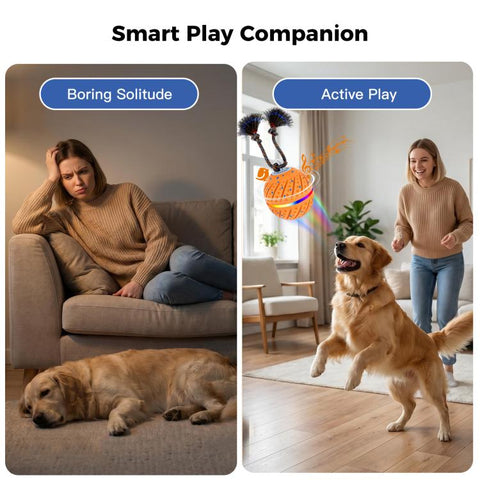 O24 Smart Automatic Pet Toy Ball Dog Training with Light & Sound & Rope, O24