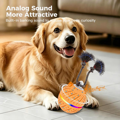 O24 Smart Automatic Pet Toy Ball Dog Training with Light & Sound & Rope, O24