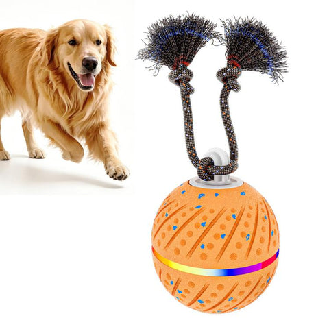 O24 Smart Automatic Pet Toy Ball Dog Training with Light & Sound & Rope, O24