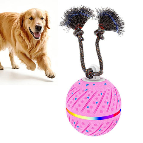 O24 Smart Automatic Pet Toy Ball Dog Training with Light & Sound & Rope, O24
