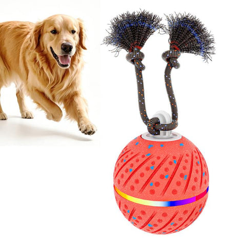 O24 Smart Automatic Pet Toy Ball Dog Training with Light & Sound & Rope, O24