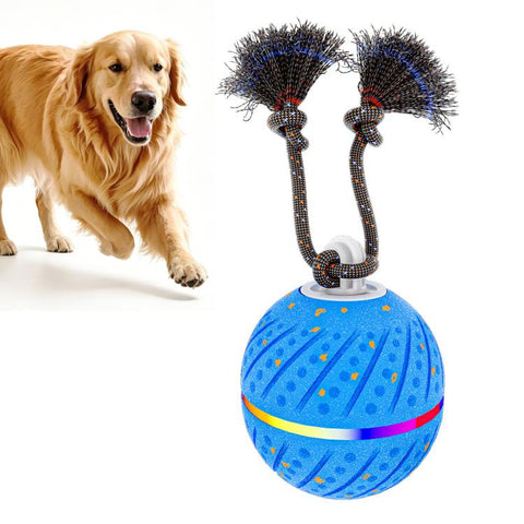 O24 Smart Automatic Pet Toy Ball Dog Training with Light & Sound & Rope, O24