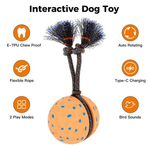 O29 Smart Automatic Pet Toy Ball Dog Training with Sound & Rope, O29