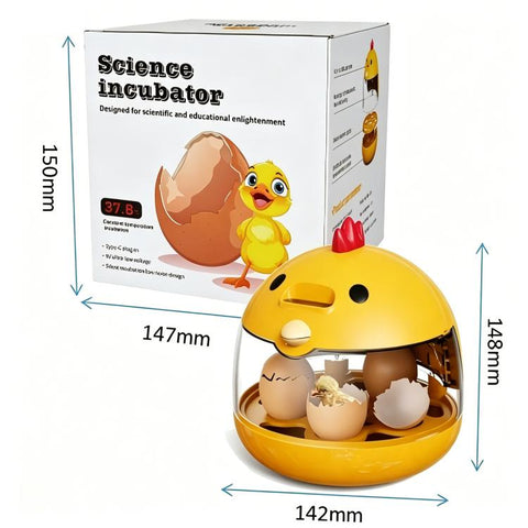 F1 Mini Semi-Automatic Science Education Incubator
