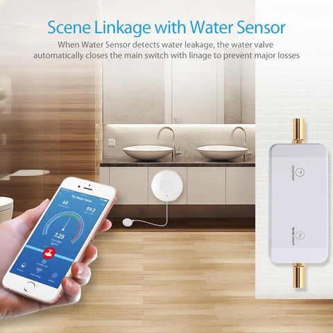 NEO NAS-WV02W WiFi Smart Water Valve 5G, WV02W