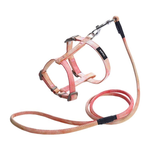 Adjustable Pet Harness & Leash Set for Small Dogs & Cats, S, M