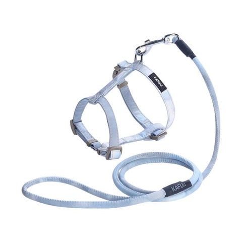 Adjustable Pet Harness & Leash Set for Small Dogs & Cats, S, M