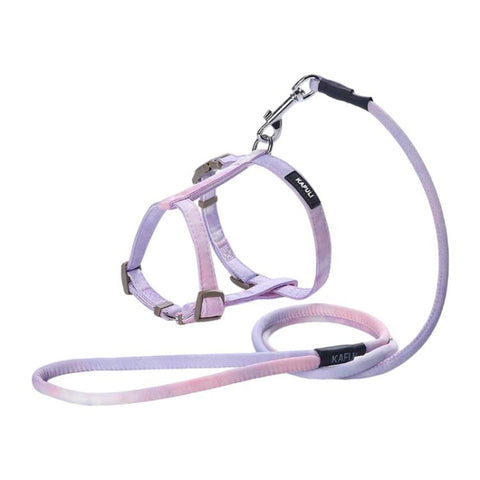 Adjustable Pet Harness & Leash Set for Small Dogs & Cats, S, M