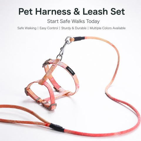 Adjustable Pet Harness & Leash Set for Small Dogs & Cats, S, M