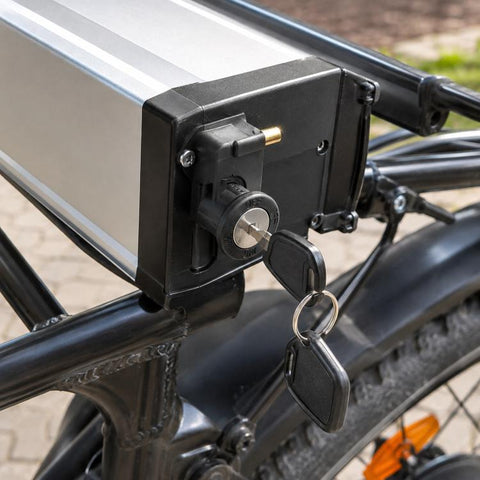 Lithium ion Battery Box Mechanical Lock