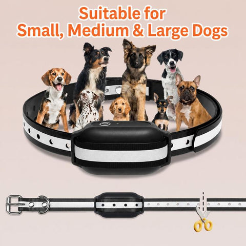 PaiPaitek PD516U-1 Ultrasonic Remote Controll Anti Barking Pet Dog Training Collar, PD516U-1