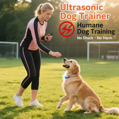 PaiPaitek PD516U-1 Ultrasonic Remote Controll Anti Barking Pet Dog Training Collar, PD516U-1