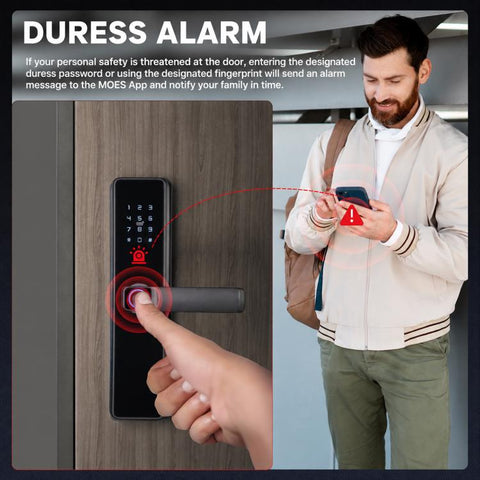 WDL-B2 WiFi Graffiti Smart Entrance Door Fingerprint Password Lock, without Lock Body