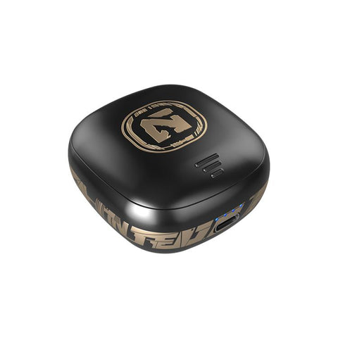 TS300 Semi-In-Ear Slide-Cover Noise-Canceling Wireless Bluetooth Earphones