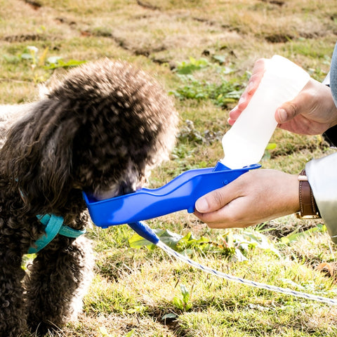 250ml Outdoor Portable Dog / Pet Water Bottle, Random Color Delivery, 250ml Pet Water Bottle