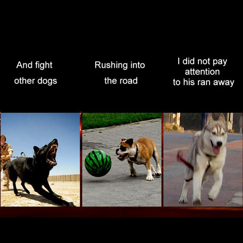 Medium and Large Dog Pet Solar + USB Charging LED Light Collar, Neck Circumference Size: S, 35-40cm, Size: S