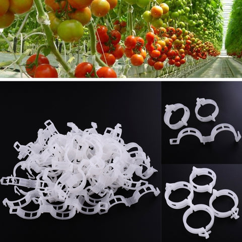 500 PCS 25mm Plastic Fixed Tie Clip Hanging Crane Folder Vines Plant Fixed Clip, 500 PCS
