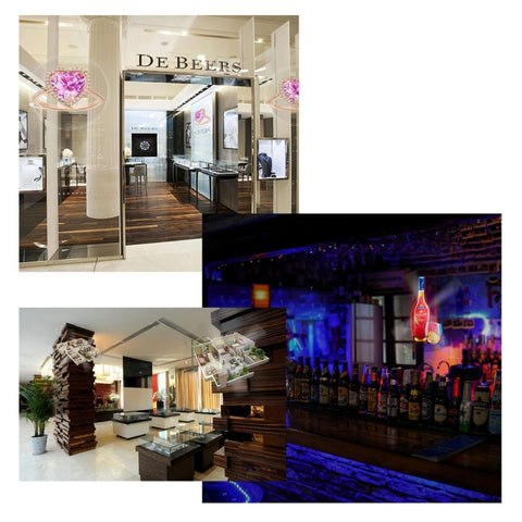 224 LEDs Hologram Holographic Display Fan with Remote Control, Support 4GB TF Card, AC 100-240V, 450 x 224 Pixels