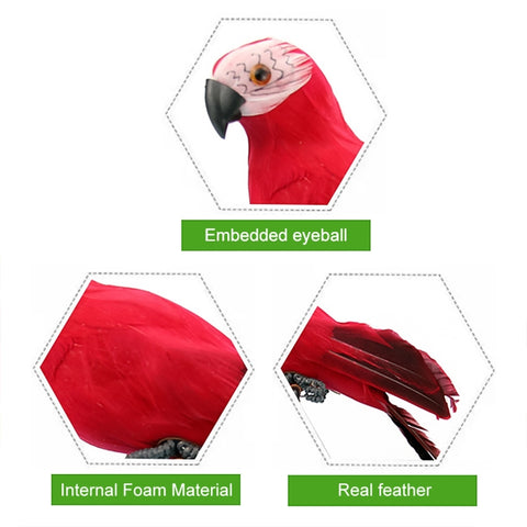 35cm Simulation Parrot Simulation Macaw Horticultural Decoration, 35cm (Green), 35cm (Blue), 35cm (Red), 35cm (Rose Red), 35cm (White), 35cm (Yellow)
