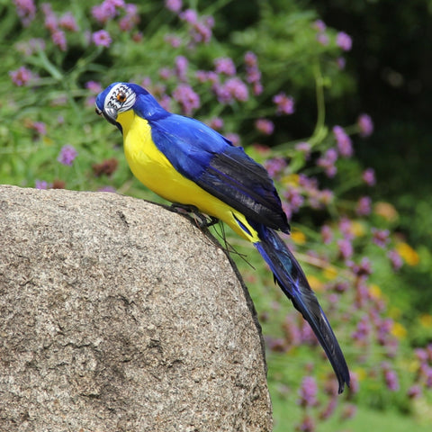 35cm Simulation Parrot Simulation Macaw Horticultural Decoration, 35cm (Green), 35cm (Blue), 35cm (Red), 35cm (Rose Red), 35cm (White), 35cm (Yellow)