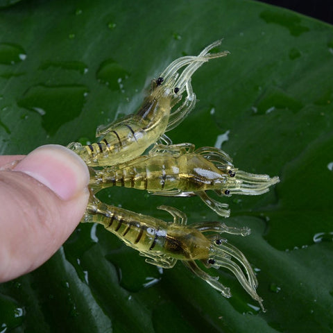 10 PCS 4cm Fishing Soft Bait Lures Popper Poper Baits, Transparent Shrimp, Artificial Shrimp, Luminous Shrimp, Pink Shrimp, Green Shrimp