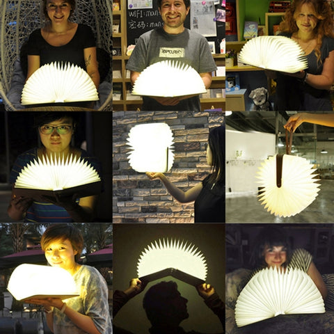 FS-LED01 500 lumens , wooden Material