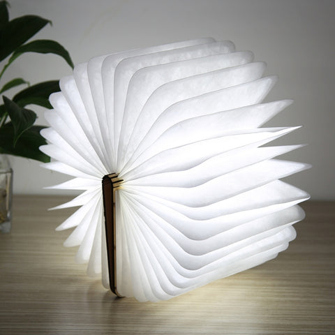 FS-LED01 500 lumens , wooden Material