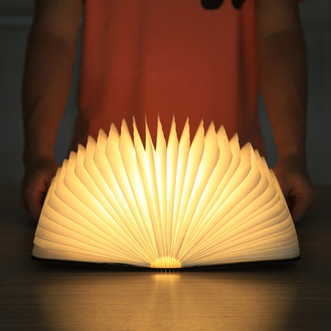 FS-LED01 500 lumens , wooden Material
