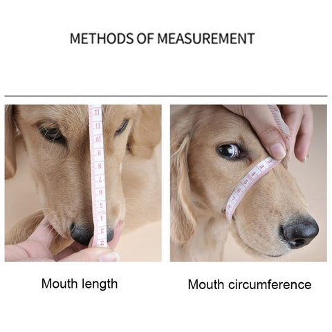 Steel Cage Style Dog Basket Wire Muzzle Protective Snout Cover with Leather Strap, Size: M, Size: M