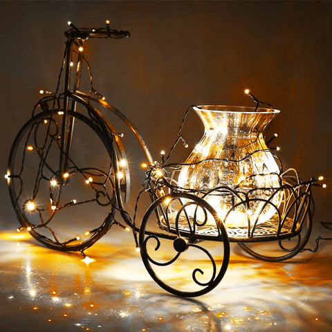 100 LED RGB Light with Controller, Flashing / Fading / Chasing Effect, Warm White EU Plug, White Light EU Plug, 220V Colorful Light EU Plug, White Light US Plug, Warm White US Plug, Colorful Light US Plug
